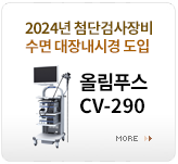 2024 ÷ܰ˻ 峻ð  øǪ CV-290